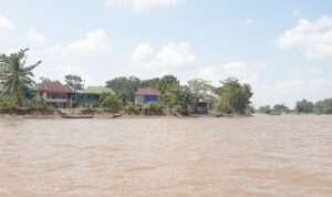 image - 2025-07-01T063741.190