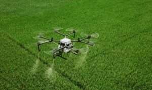 image - 2025-07-04T054348.792