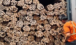 image - 2026-01-23T072150.130