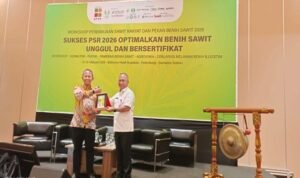 image - 2026-02-14T054335.415