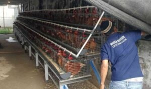 image - 2026-02-18T055916.471