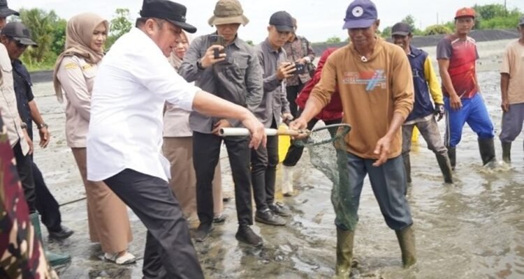 image - 2026-02-22T060251.554