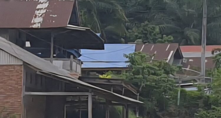 image - 2026-02-22T062033.915