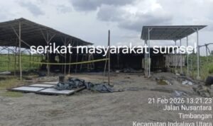 image - 2026-02-23T094112.238