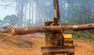 image - 2026-02-26T075715.822