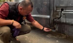 image - 2026-03-21T070517.613