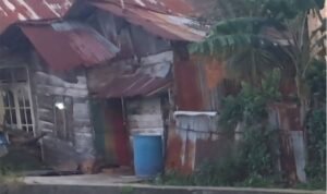 image - 2026-03-21T081922.502